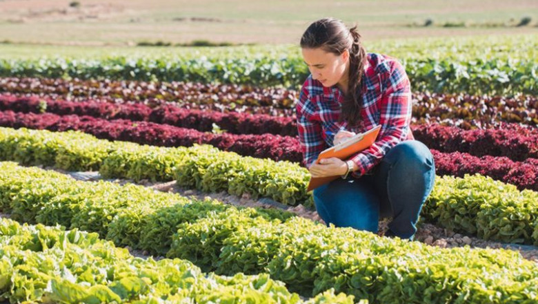 ep archivo jovenes agricultores ep archivo jovenes agricultores