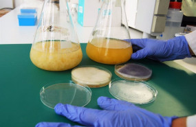 ep archivo - personal investigador del area de biotecnologia