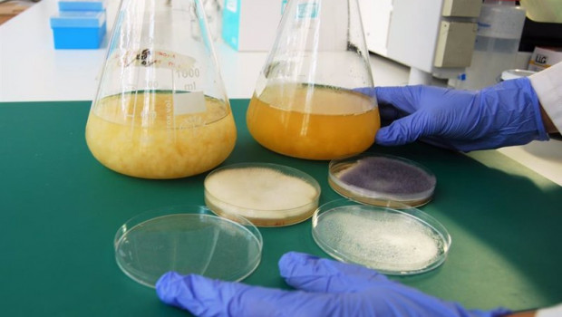 ep archivo - personal investigador del area de biotecnologia