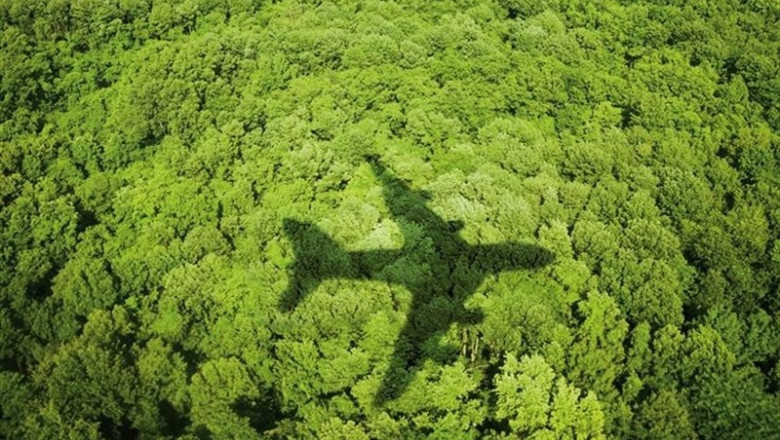 Avión sobrevuela un bosque | CEDIDA - Archivo ep avion sobrevuelabosque