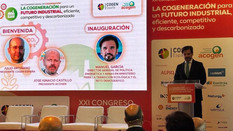 ep el director general de politica energetica y minas manuel garcia