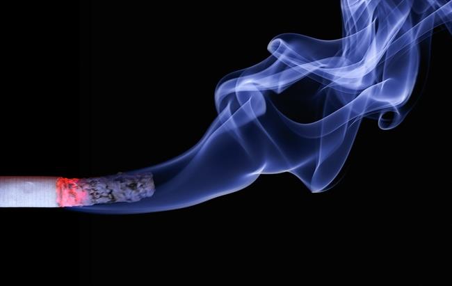ep humotabaco