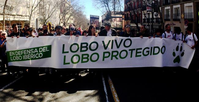 Manifestación por la protección del lobo ibérico | EUROPA PRESS ep manifestacionla proteccionlobo iberico