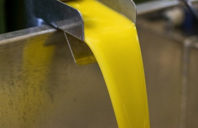 ep produccion de aceite de oliva 20260427135812