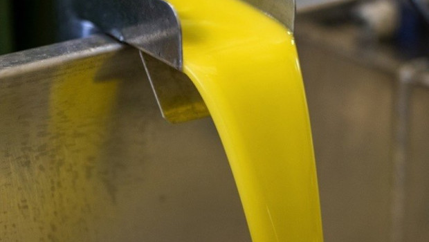 ep produccion de aceite de oliva 20260427135812