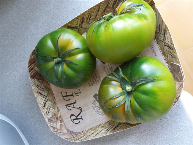 ep tomate rafalmeria
