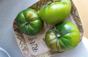 ep tomate rafalmeria