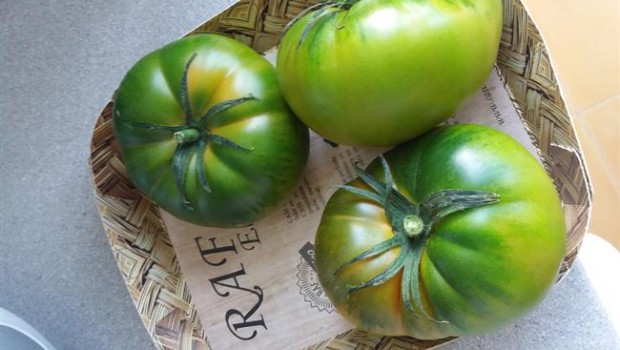 ep tomate rafalmeria
