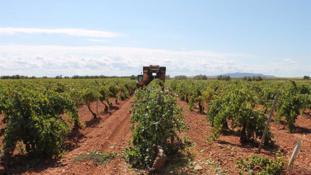 ep un trabajador utiliza un tractor para recoger uvas de una cosecha durante la temporada de