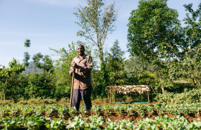 fridays for future 2025 smoking paper 1 fridays for future 2025 smoking paper 1