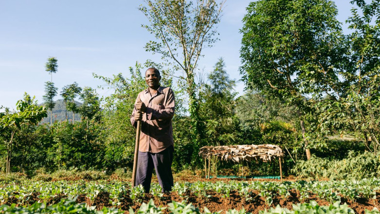 fridays for future 2025   smoking paper 1