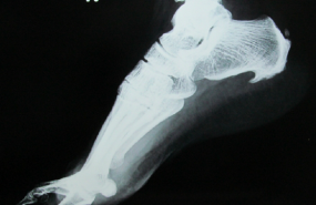 1570551453 captura de pantalla 2019 10 08 a les 181520