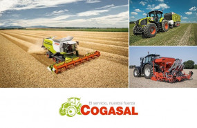 1584357885 cogasal 1584357885 cogasal