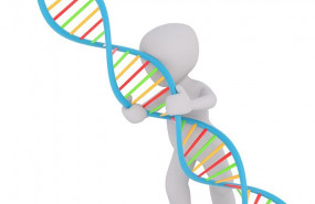 1591856766 dna 1889086960 720