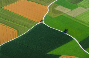 1611918238 gettyimages 591212033