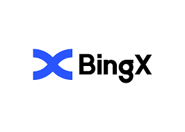 bingx 20231107160948