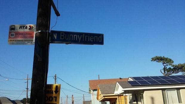 Bunny Friend Nueva Orleans