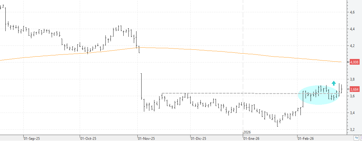 c250226tef c250226tef