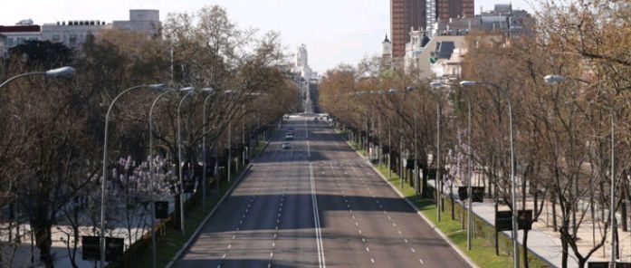 cbtrafico 233