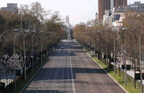 cbtrafico 233