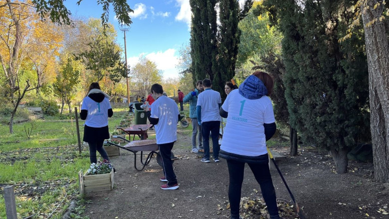 da voluntariado corporativo