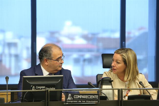 Ángel Ron y Ana Oramas en la comisión de investigación sobre la crisis | ÓSCAR DEL POZO/EUROPA PRESS ep angel ronana oramasla comisioninvestigacionla crisis