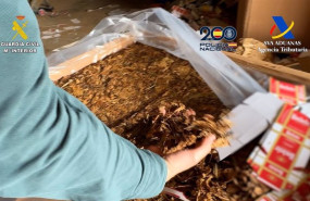 ep desarticulada una organizacion criminal dedicada a la fabricacion clandestina de tabaco en