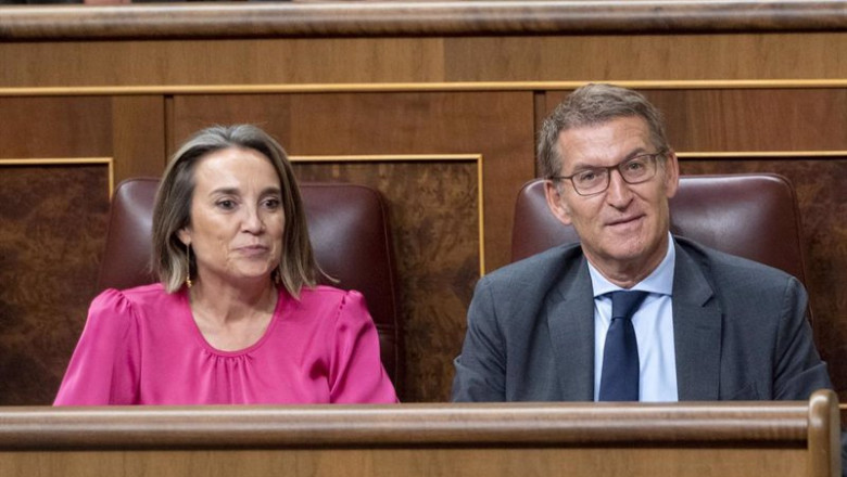 ep el lider del p alberto nunez feijoo y la portavoz del partido en el congreso cuca gamarra ep el lider del p alberto nunez feijoo y la portavoz del partido en el congreso cuca gamarra