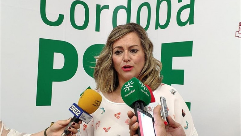 La secretaria de Política Municipal del PSOE-A y senadora socialista, María Jesús Serrano, atiende a los medios. | PSOE-A ep la secretariapolitica municipalpsoe-asenadora socialista maria jesus serrano atiendelos medios