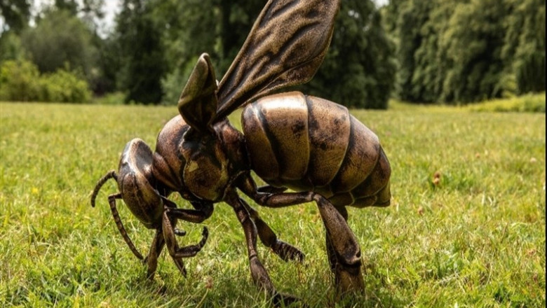 Los estudios microtomográficos de abejas de un catedrático de la Universidad de Granada | ABEJA ROBOT ep los estudios microtomograficosabejasun catedraticola universidadgranada