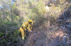 ep tareaextincionun incendio forestal