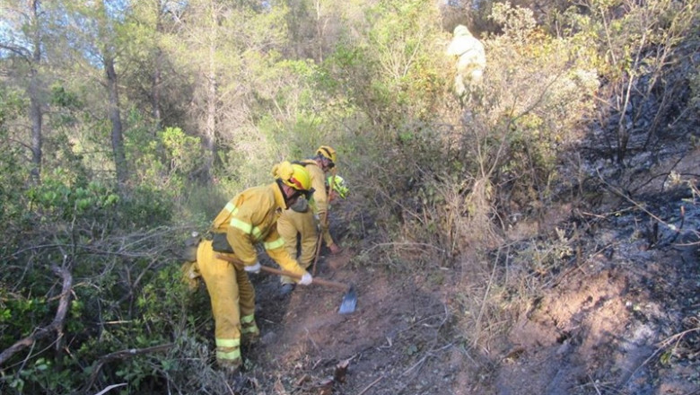 Tarea de extinción de un incendio forestal. | GOBIERNO DE ARAGÓN ep tareaextincionun incendio forestal
