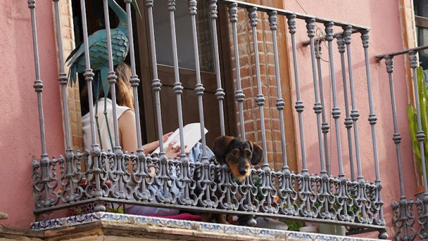 ep una joven leyendo un libro en la terraza de su casa durante el estado de alarma