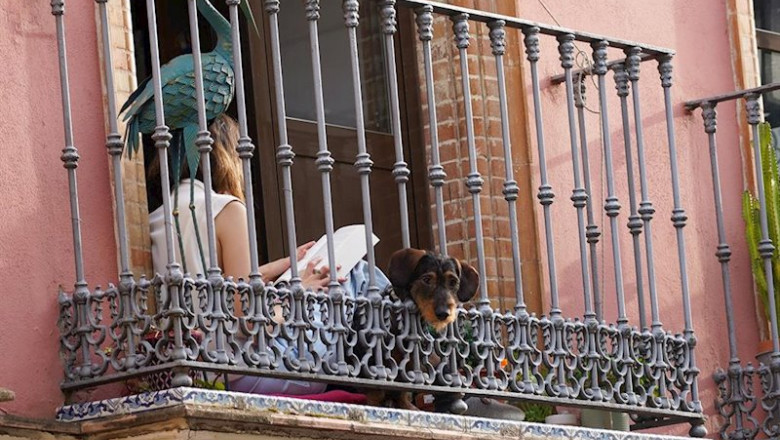 ep una joven leyendo un libro en la terraza de su casa durante el estado de alarma