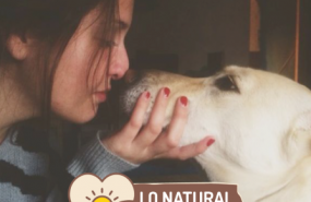 1594637397 country farms unabrazounacomida