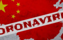 cbvirus chinasw111