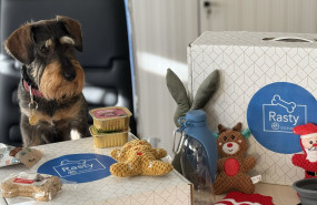 coleccin rasty by sadival coleccin rasty by sadival