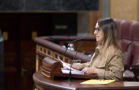 ep archivo   la diputada de erc etna estrems interviene durante una sesion plenaria en el congreso