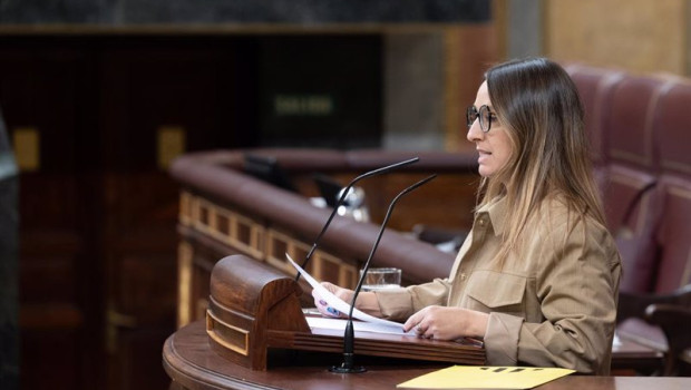 ep archivo   la diputada de erc etna estrems interviene durante una sesion plenaria en el congreso