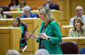 ep archivo   la senadora del pp paloma martin durante una sesion plenaria en el senado a 23 de abril