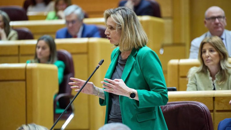 ep archivo la senadora del pp paloma martin durante una sesion plenaria en el senado a 23 de abril ep archivo la senadora del pp paloma martin durante una sesion plenaria en el senado a 23 de abril