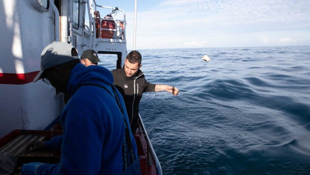 ep archivo un grupo de personas salen en barco a faenar en aguas del cantabrico a especies como el ep archivo un grupo de personas salen en barco a faenar en aguas del cantabrico a especies como el