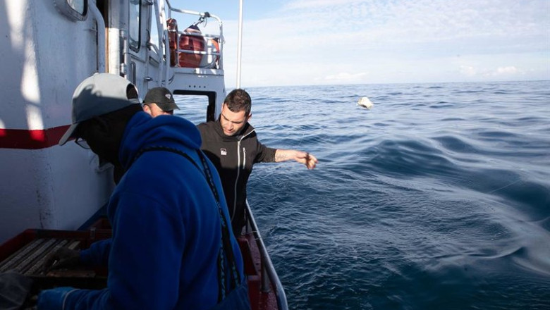 ep archivo   un grupo de personas salen en barco a faenar en aguas del cantabrico a especies como el