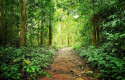 ep biodiversidad ep biodiversidad