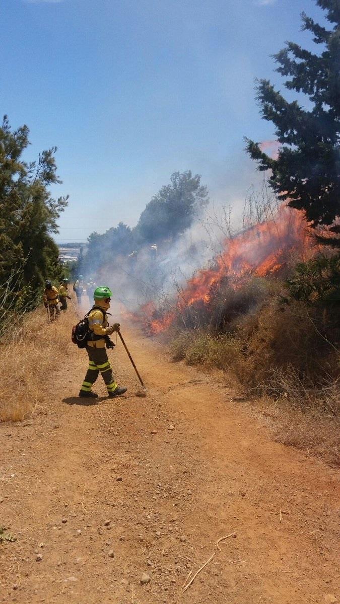 Bombero forestal IF Málaga incendio infoca capital asperones | EUROPA PRESS/PLAN INFOCA ep bombero forestal if malaga incendio infoca capital asperones