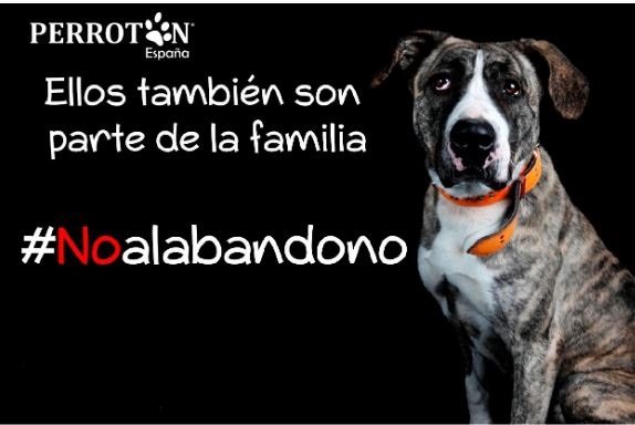 ep campana contra el abandono de animales