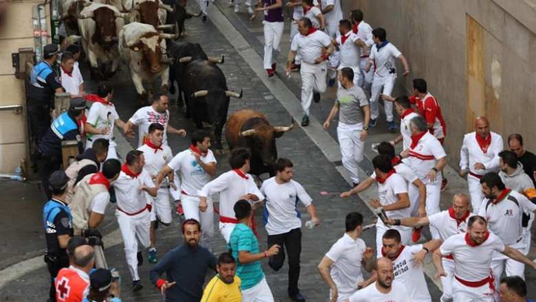 Cientos de personas corren delante de los toros de La Palmosilla en el séptimo encierro de las fiestas de San Fermín celebrado en Pamplona (Navarra). | David Domench - Europa Press ep cientospersonas corren delantelos torosla palmosillaseptimo encierrolas fiestassan fermin celebradopamplona navarra