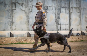 ep el cabo simon tomas diaz junto a hulk perro desactivador de explosivos en besmayah irak