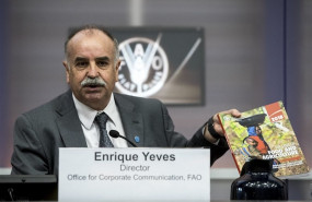 ep enrique yeves duranteetapadirectorcomunicacionfaoroma