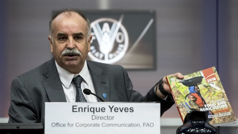 Enrique Yeves durante su etapa como director de Comunicación de FAO en Roma. | FAO/FLICKR - Archivo ep enrique yeves duranteetapadirectorcomunicacionfaoroma